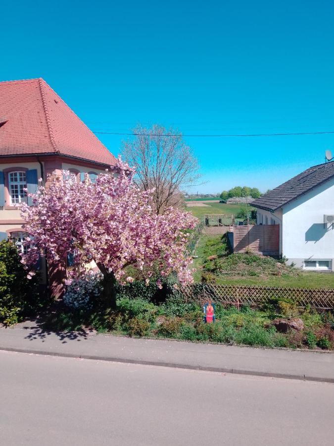 Appartamento Meyerhof Wittenweier Esterno foto