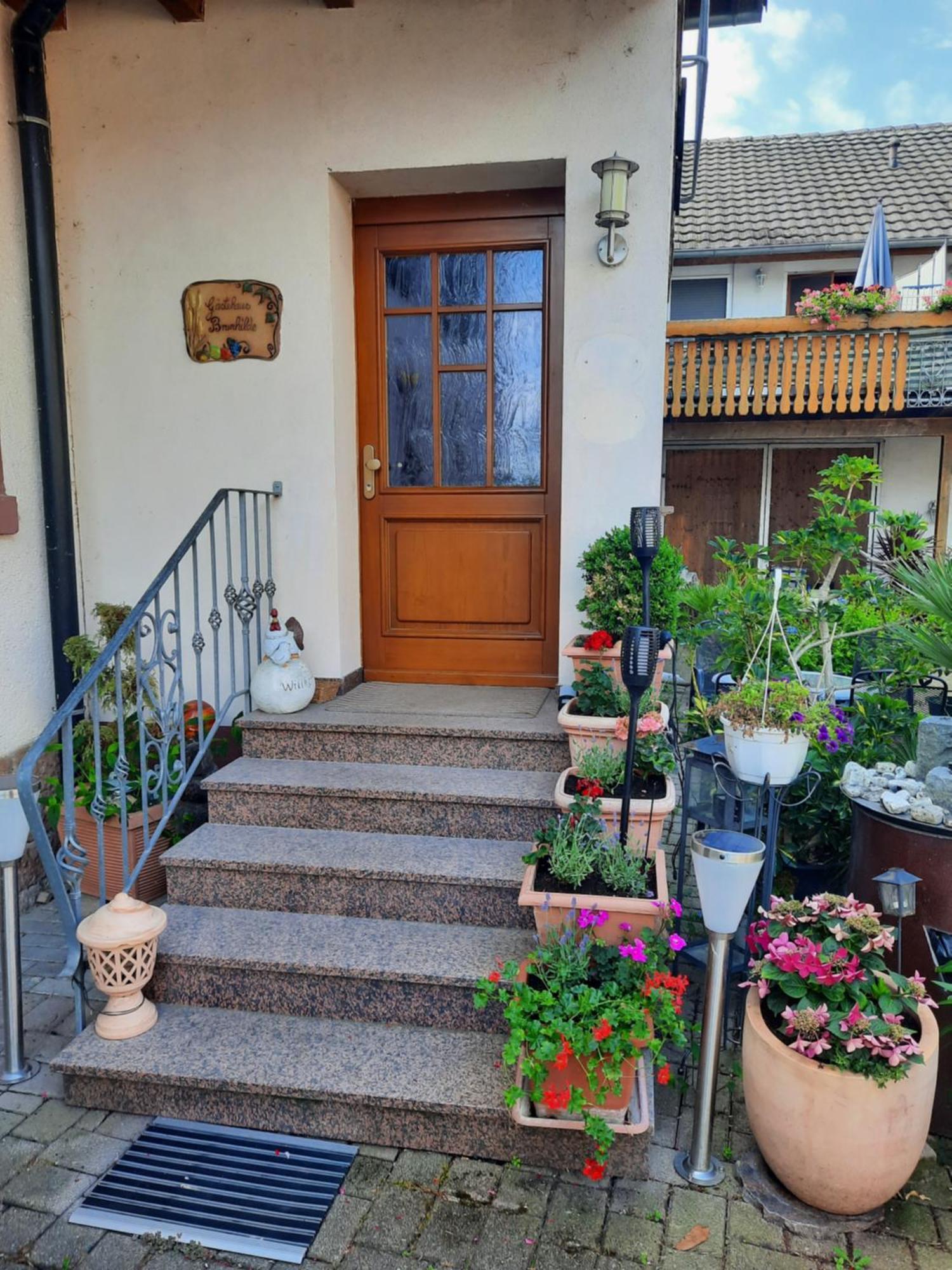 Appartamento Meyerhof Wittenweier Esterno foto