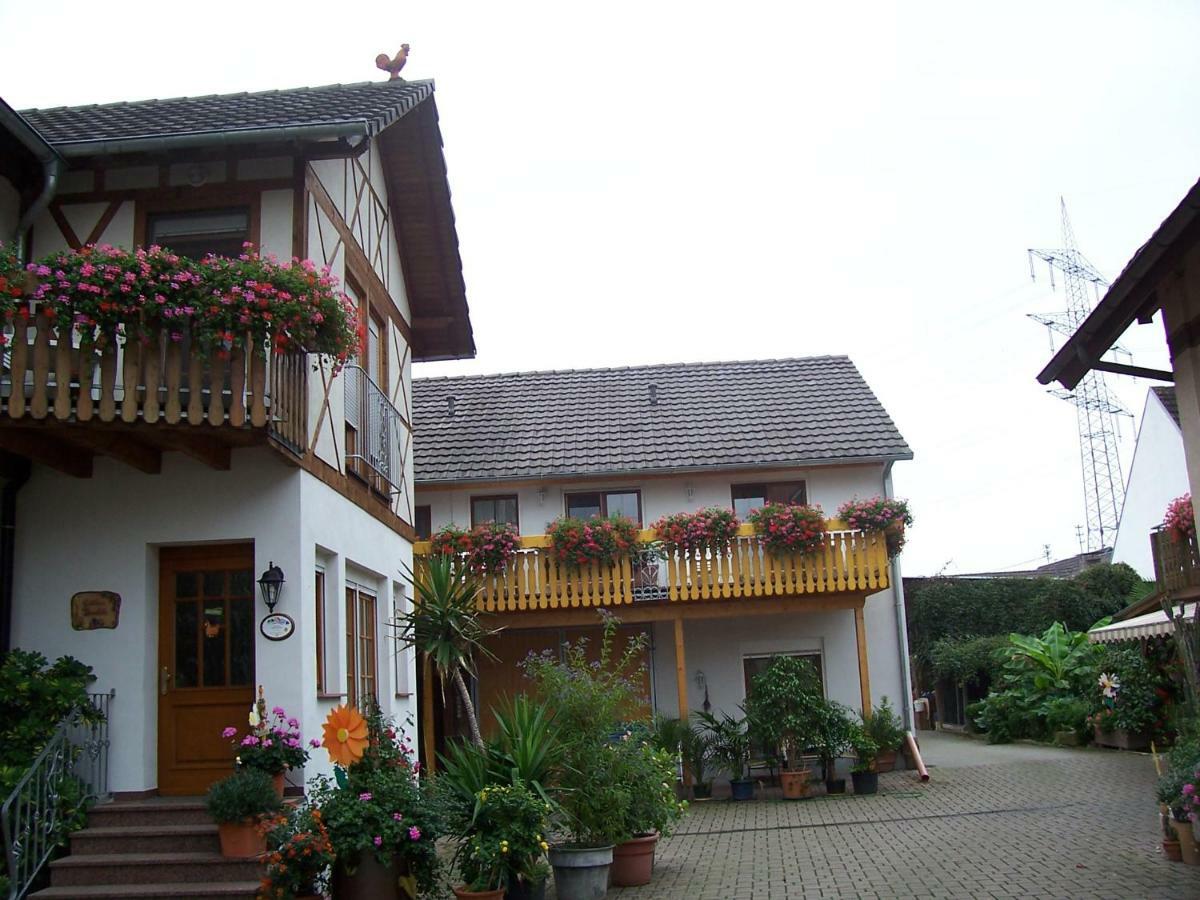 Appartamento Meyerhof Wittenweier Esterno foto