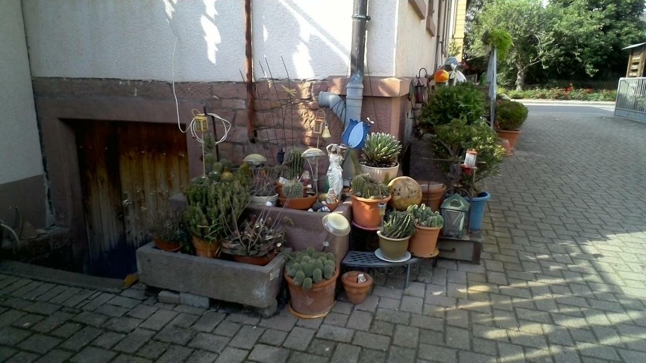 Appartamento Meyerhof Wittenweier Esterno foto
