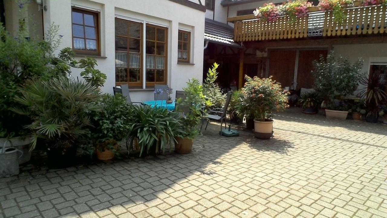 Appartamento Meyerhof Wittenweier Esterno foto