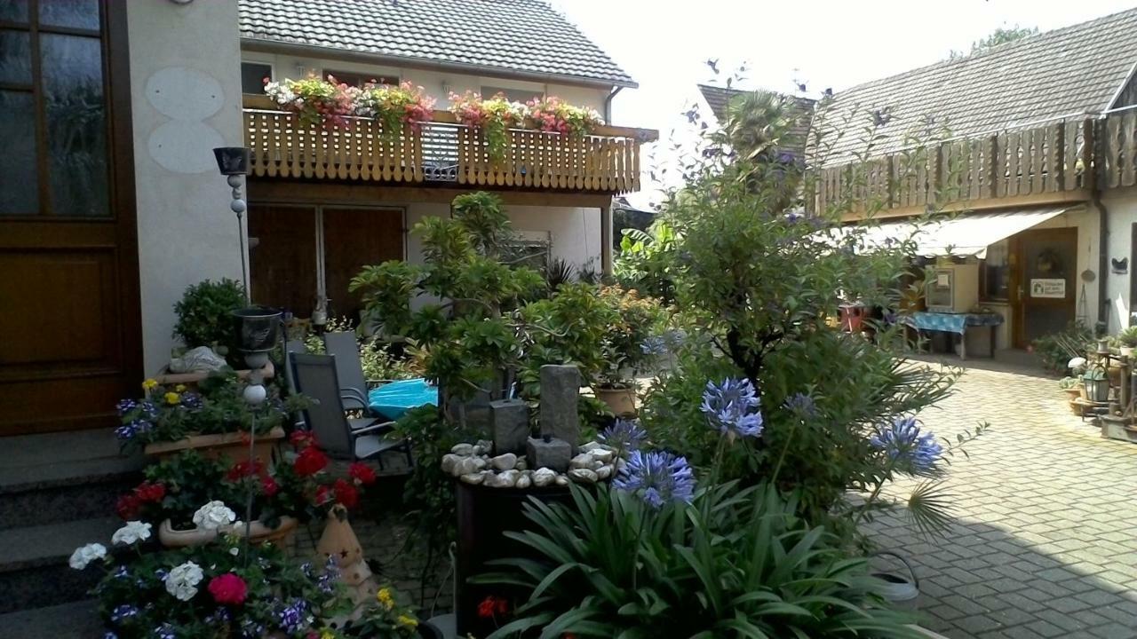 Appartamento Meyerhof Wittenweier Esterno foto
